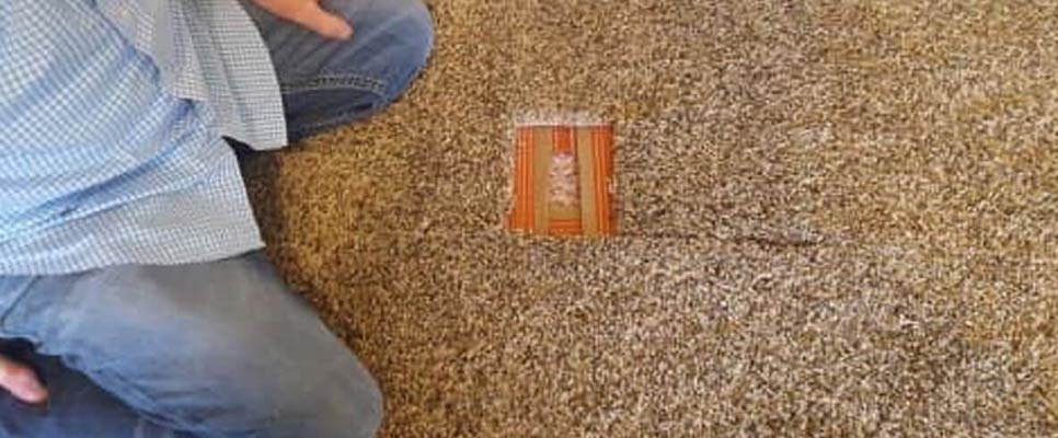 How much does it cost to repair a patch of carpet? - Yep! We Fix Carpet